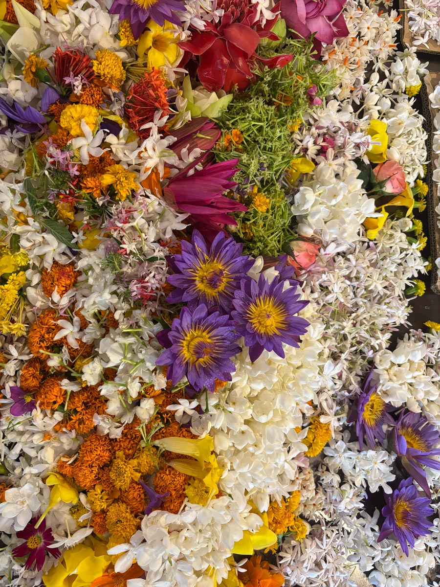 gallery-06